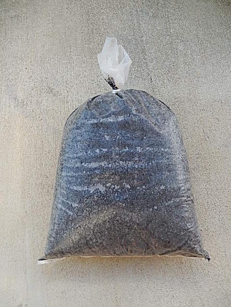 22年 カブトムシ用腐葉土のおすすめ人気ランキング4選 Mybest