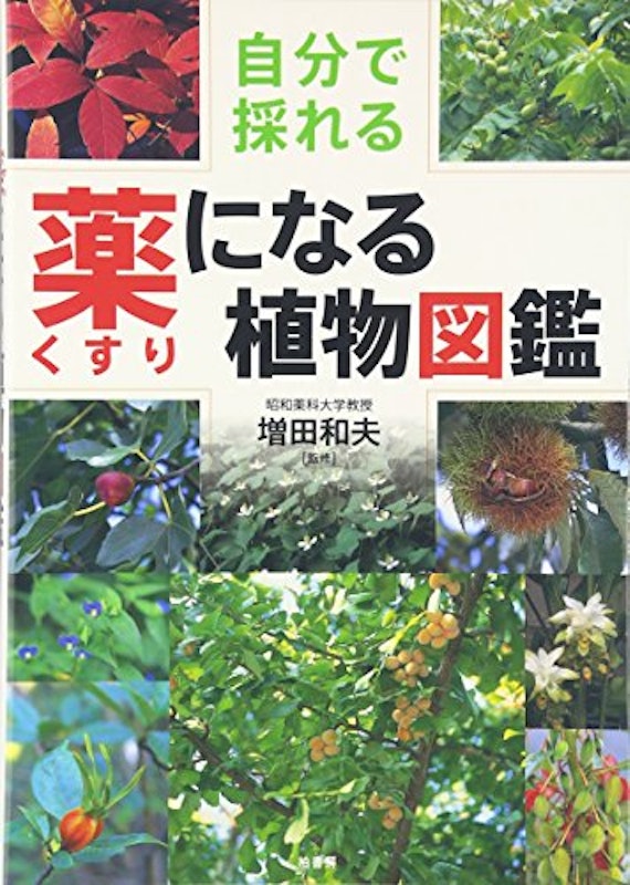 自分で採れる薬になる植物図鑑 1