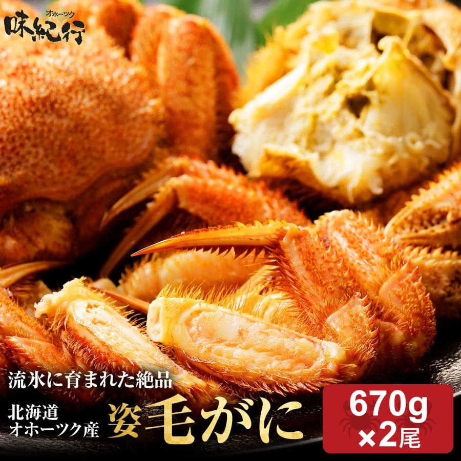 北海道産 毛ガニ 1