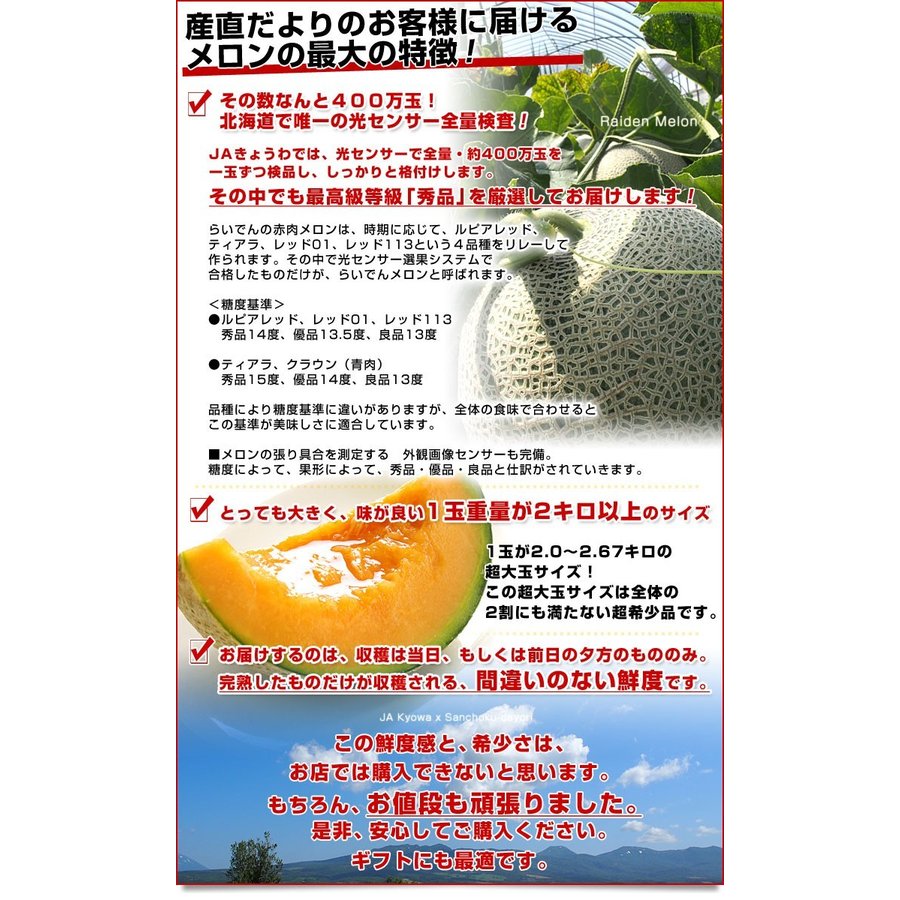 らいでんメロン 2