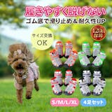犬用靴・靴下のおすすめ人気ランキング【2026年6月】 3