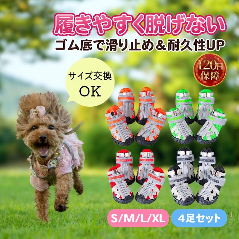 ドッグシューズ 1