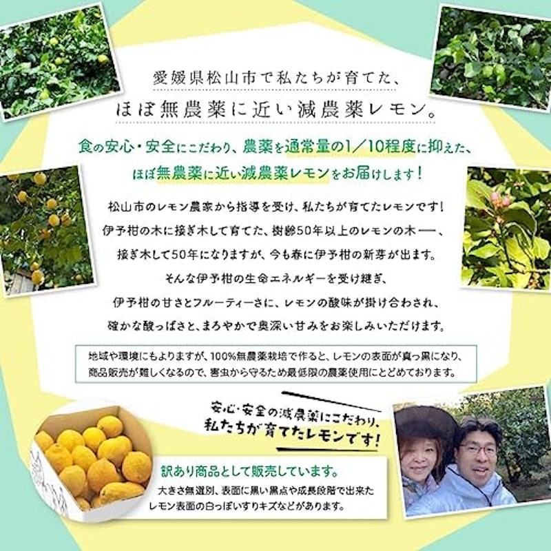 国産レモン 4
