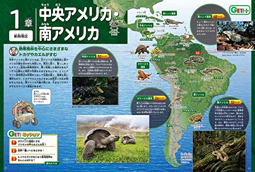 角川の集める図鑑ＧＥＴ！ は虫類・両生類  3