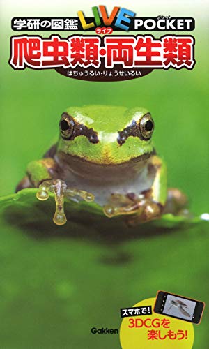 爬虫類・両生類  1