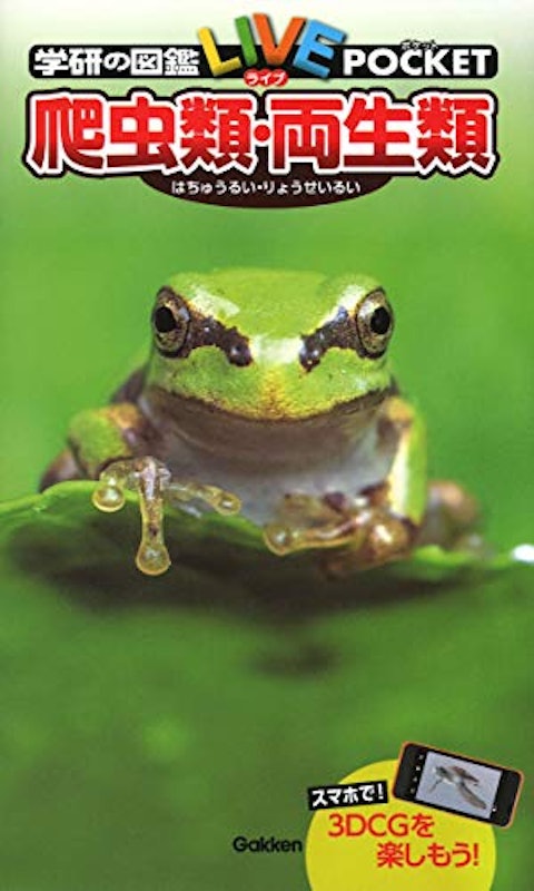 爬虫類・両生類 1