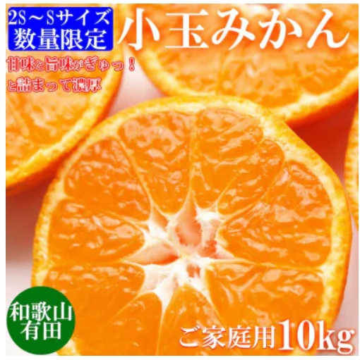 旨味凝縮有田みかん 1