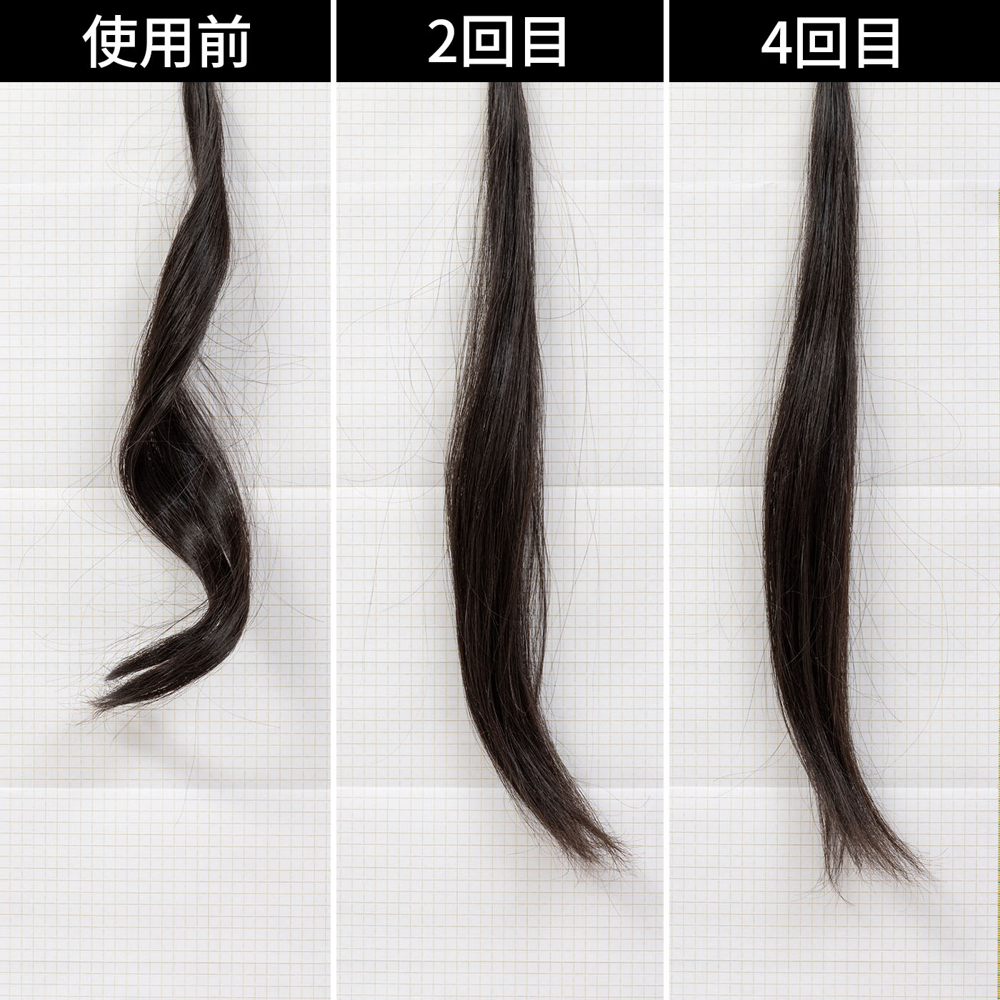 DAFNI power 6