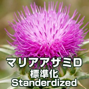エクレクティック ペットラベル マリアアザミ 4