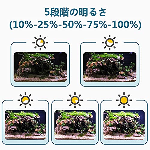 水槽LEDライト 4