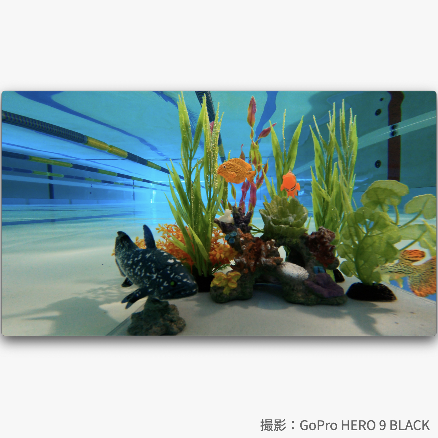 HERO9 Black 6