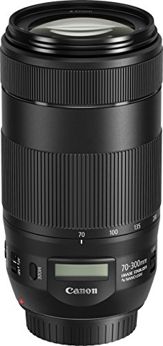 EF70-300mm F4-5.6 IS II USM 1