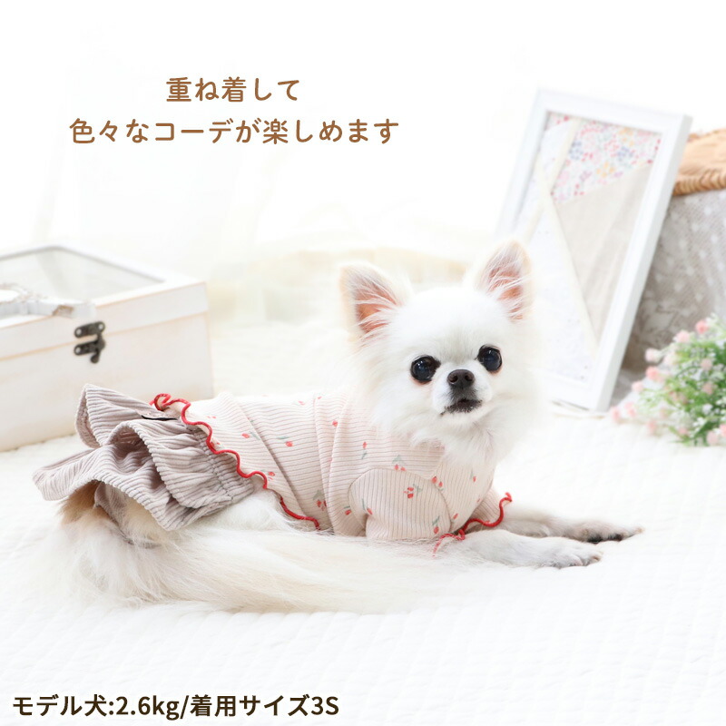 マナーパンツ 3