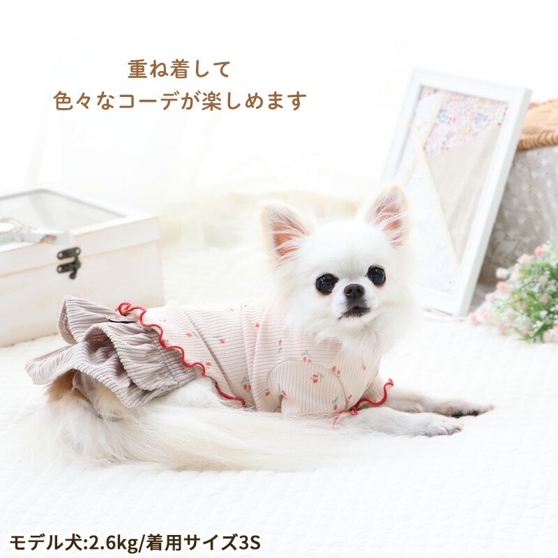 マナーパンツ 3