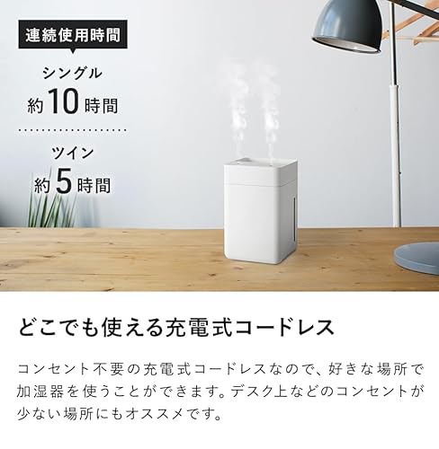 ツインミスト 9