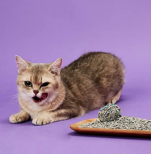猫砂 6