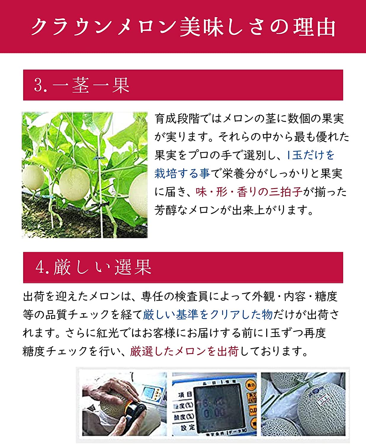 静岡産 クラウンマスクメロン 4