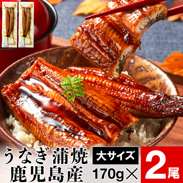 うなぎ蒲焼 2尾 1