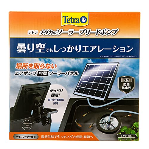 メダカのソーラーブリードポンプ 1