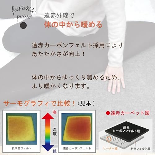 ホットカーペット 2