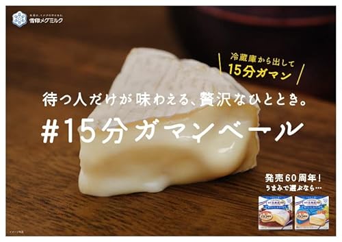 雪印北海道100 カマンベールチーズ 3