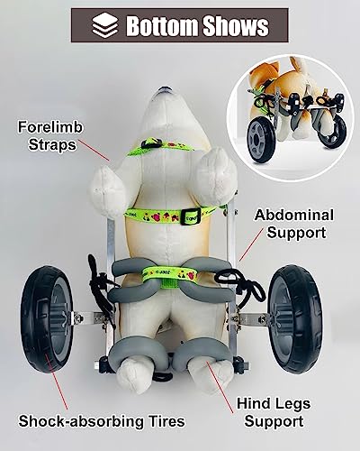 犬用車椅子 4