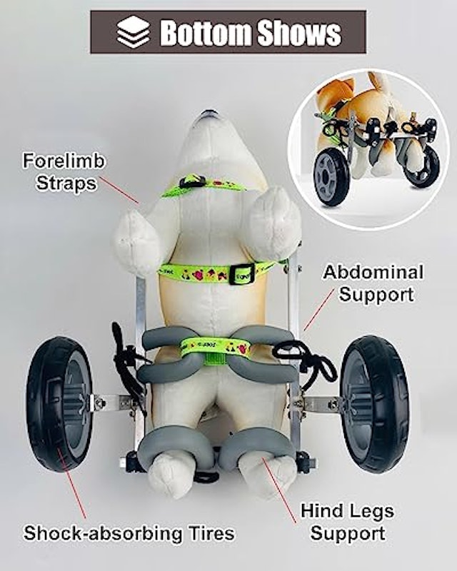 犬用車椅子 4