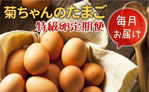 菊ちゃんのたまご（特級卵）全12回定期便 1