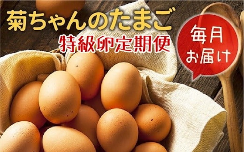 菊ちゃんのたまご(特級卵)全12回定期便 1