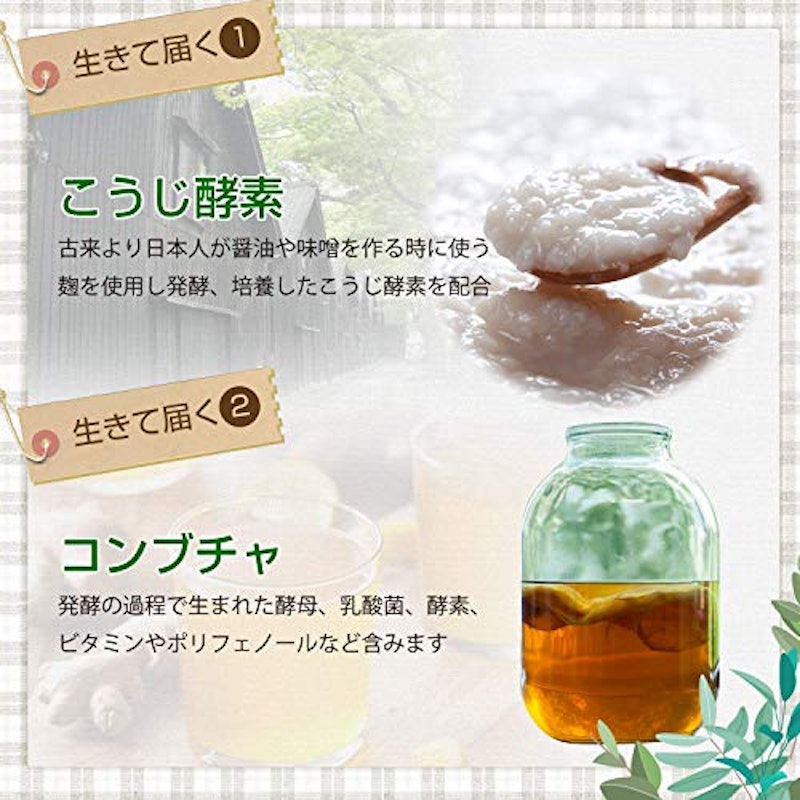麹とコンブチャの生酵素 4