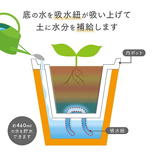 プランター 3