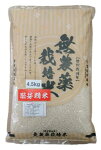 無農薬無化学肥料栽培 石川県産こしひかり 1