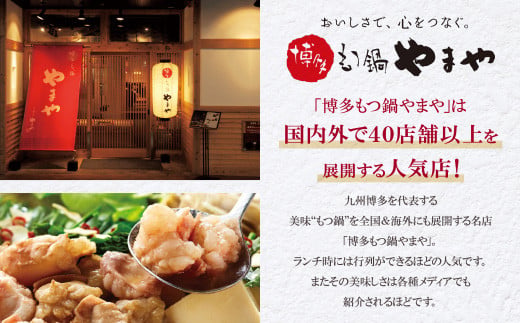 博多もつ鍋 あごだし醤油味 3