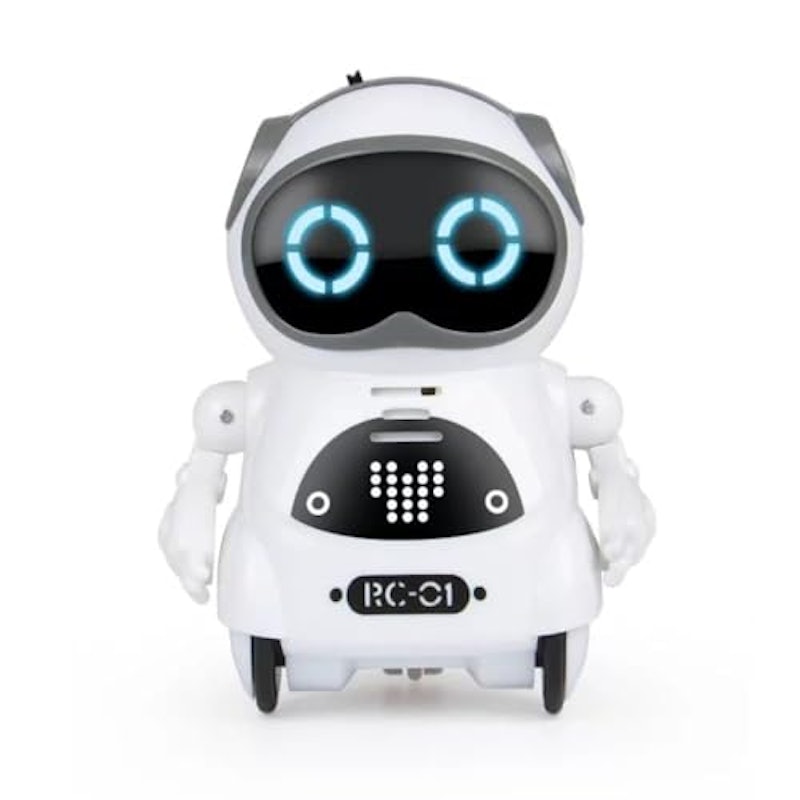 ポケットロボット 1