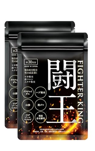 ファイターキング 闘王 1
