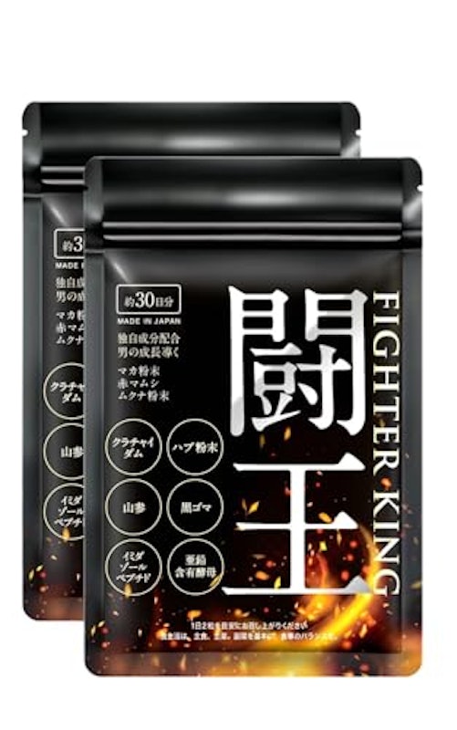 ファイターキング 闘王 1