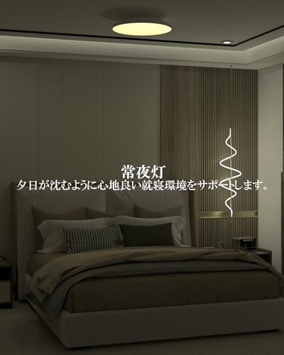 LEDシーリングライト 8