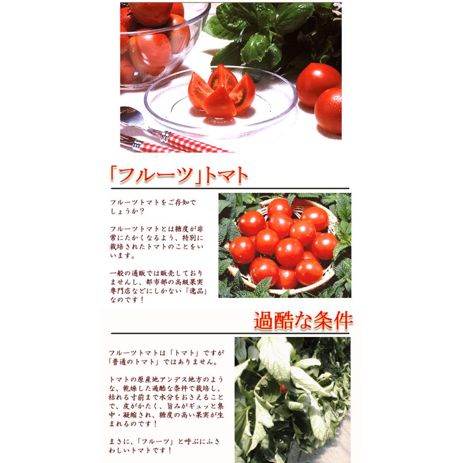 高糖度フルーツトマト 4