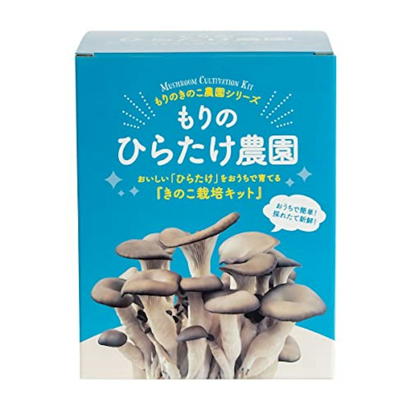きのこ栽培キット 1