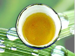 森のこかげ 柿の葉茶 3