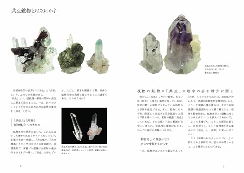 美しい共生鉱物の図鑑 2