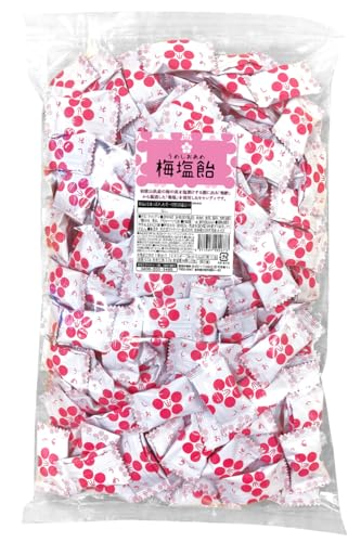 梅塩飴 1