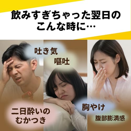大正漢方胃腸薬 内服液 3