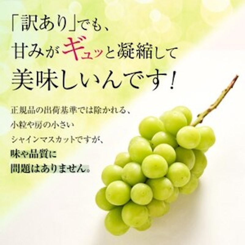 シャインマスカット 2