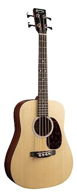 DJR-10E アコースティックベース 1