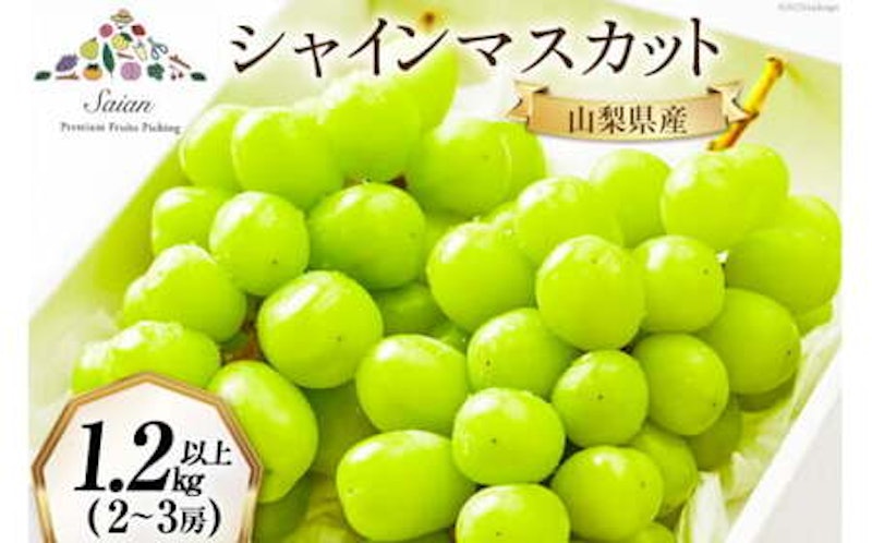 シャインマスカット 1
