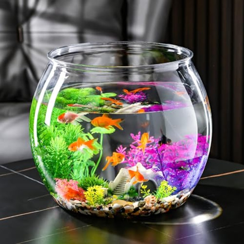 金魚鉢 5