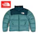 THE NORTH FACE 1996 RETRO NUPTSE 1