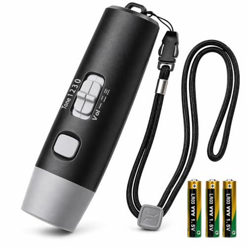 電子ホイッスル 1