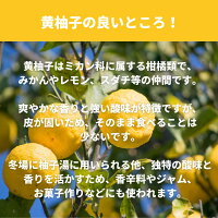 黄柚子 2